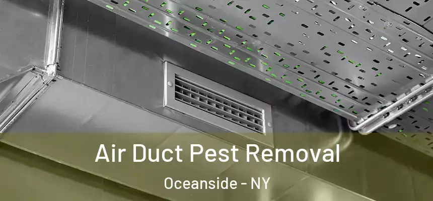 Air Duct Pest Removal Oceanside - NY
