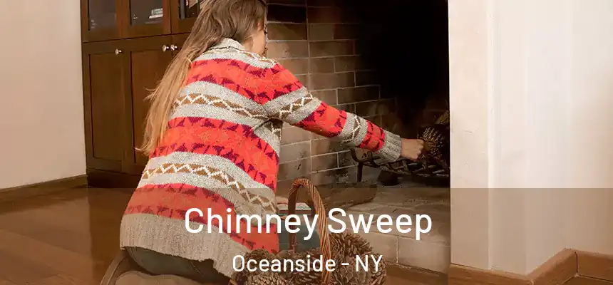 Chimney Sweep Oceanside - NY