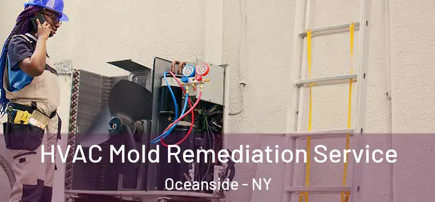  HVAC Mold Remediation Service Oceanside - NY