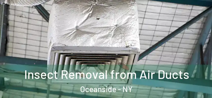  Insect Removal from Air Ducts Oceanside - NY