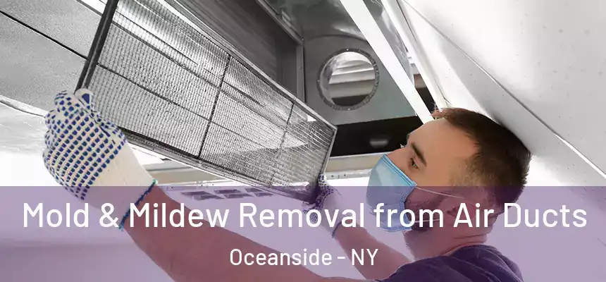 Mold & Mildew Removal from Air Ducts Oceanside - NY