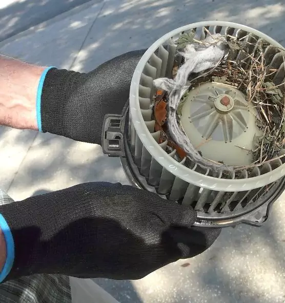 About Air Duct Mice Removal in Oceanside, NY