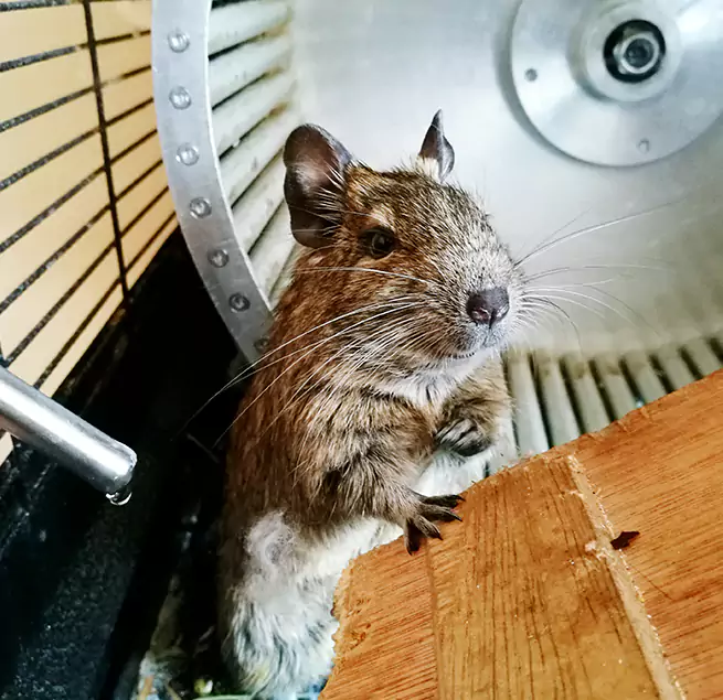 Why Homeowners & Businesses Trust Us Oceanside, NY